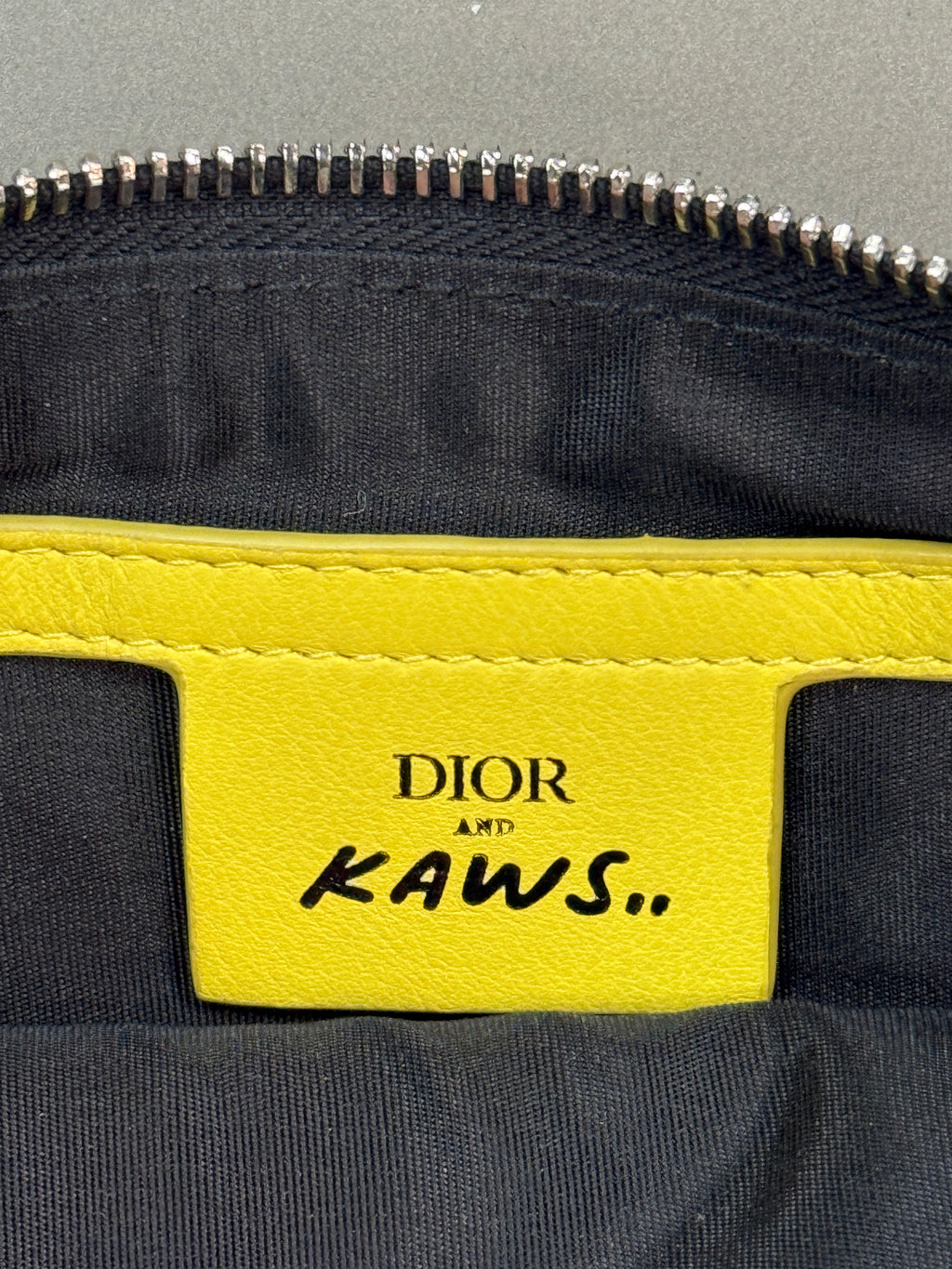 DIOR x KAWS BEE POUCH