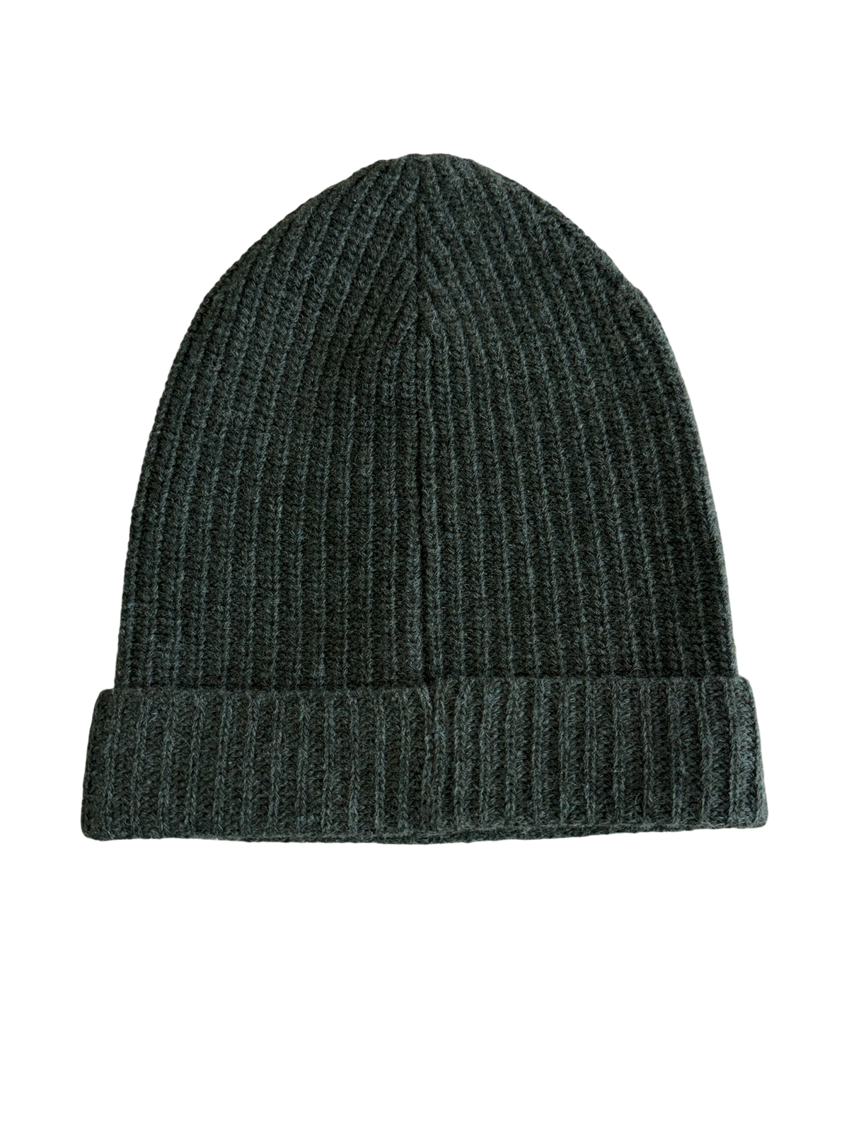 CELINE GREEN BEANIE