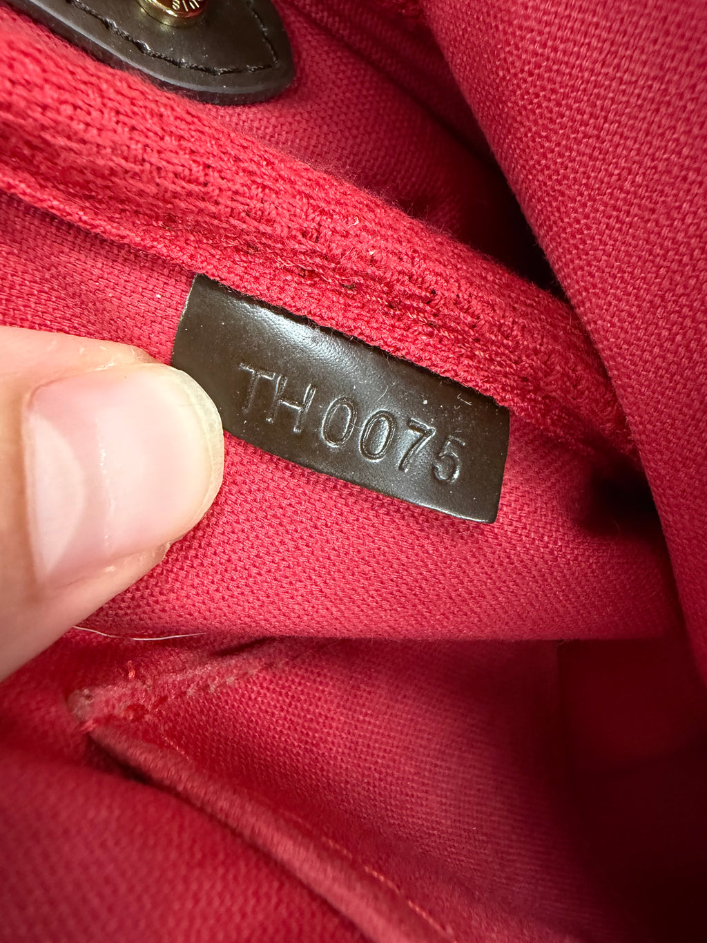 LOUIS VUITTON FAVORITE MM DAMIER EBENE CANVAS BAG