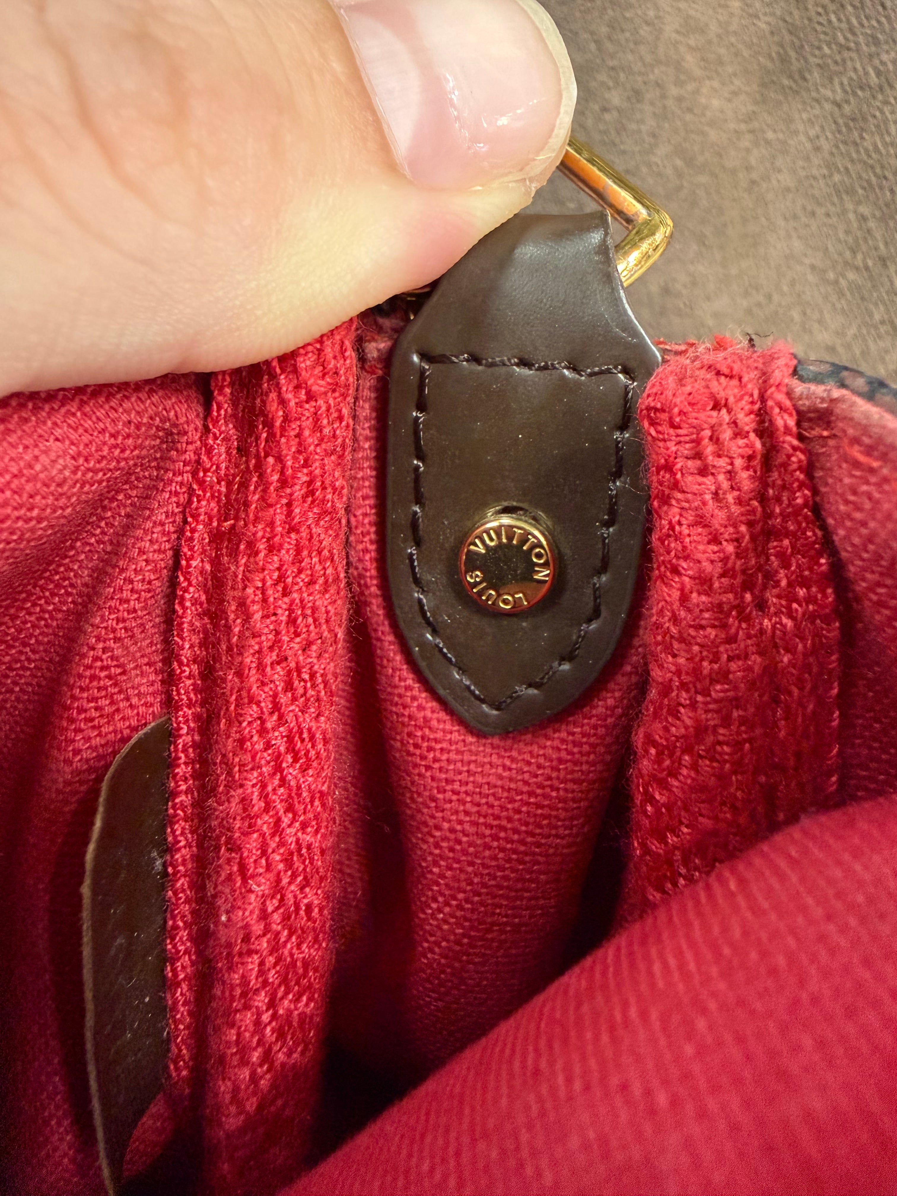 LOUIS VUITTON FAVORITE MM DAMIER EBENE CANVAS BAG