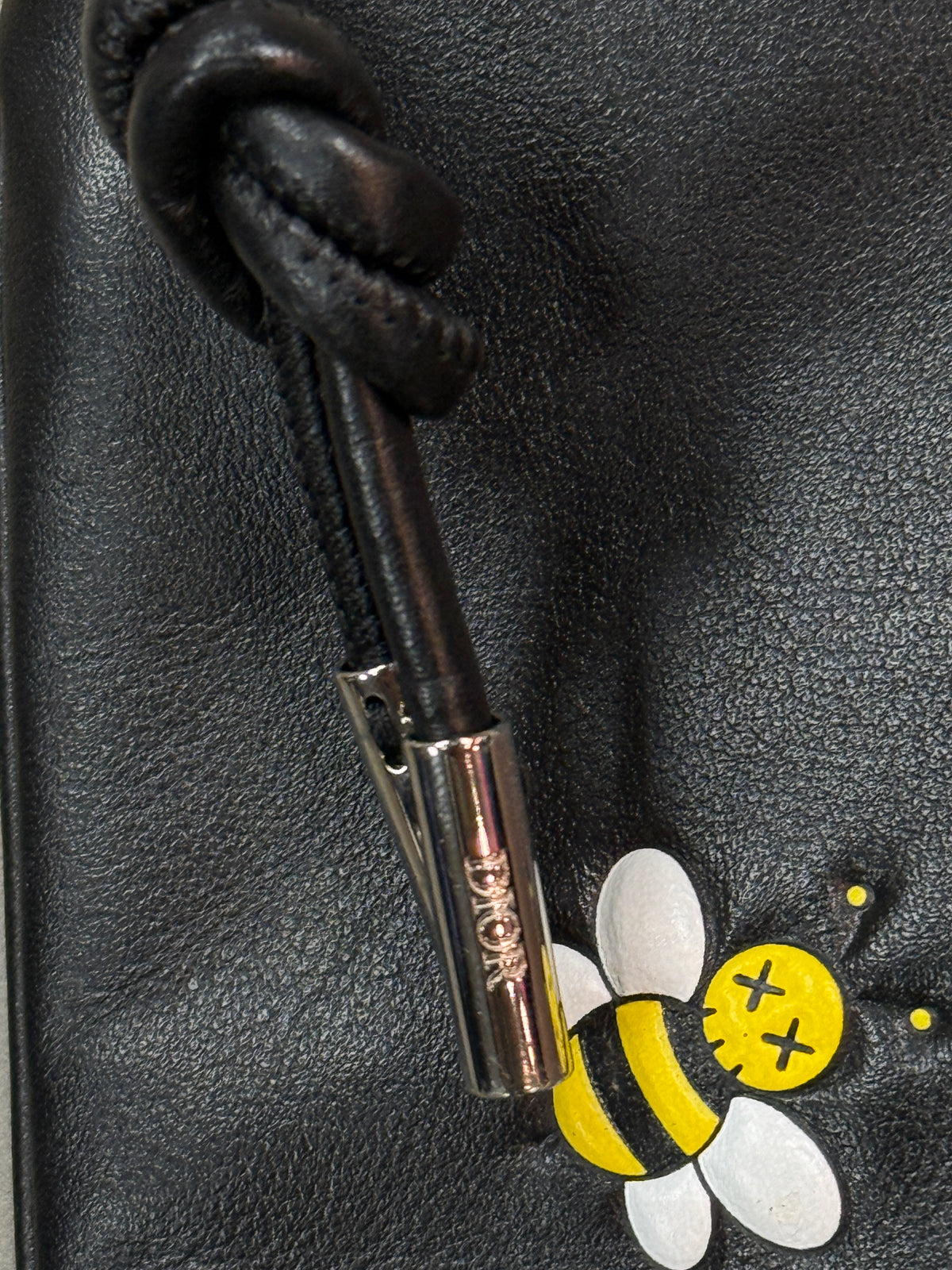 DIOR x KAWS BEE POUCH