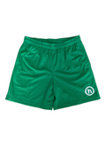 HIDDEN NY MESH LOGO SHORTS (XXL)