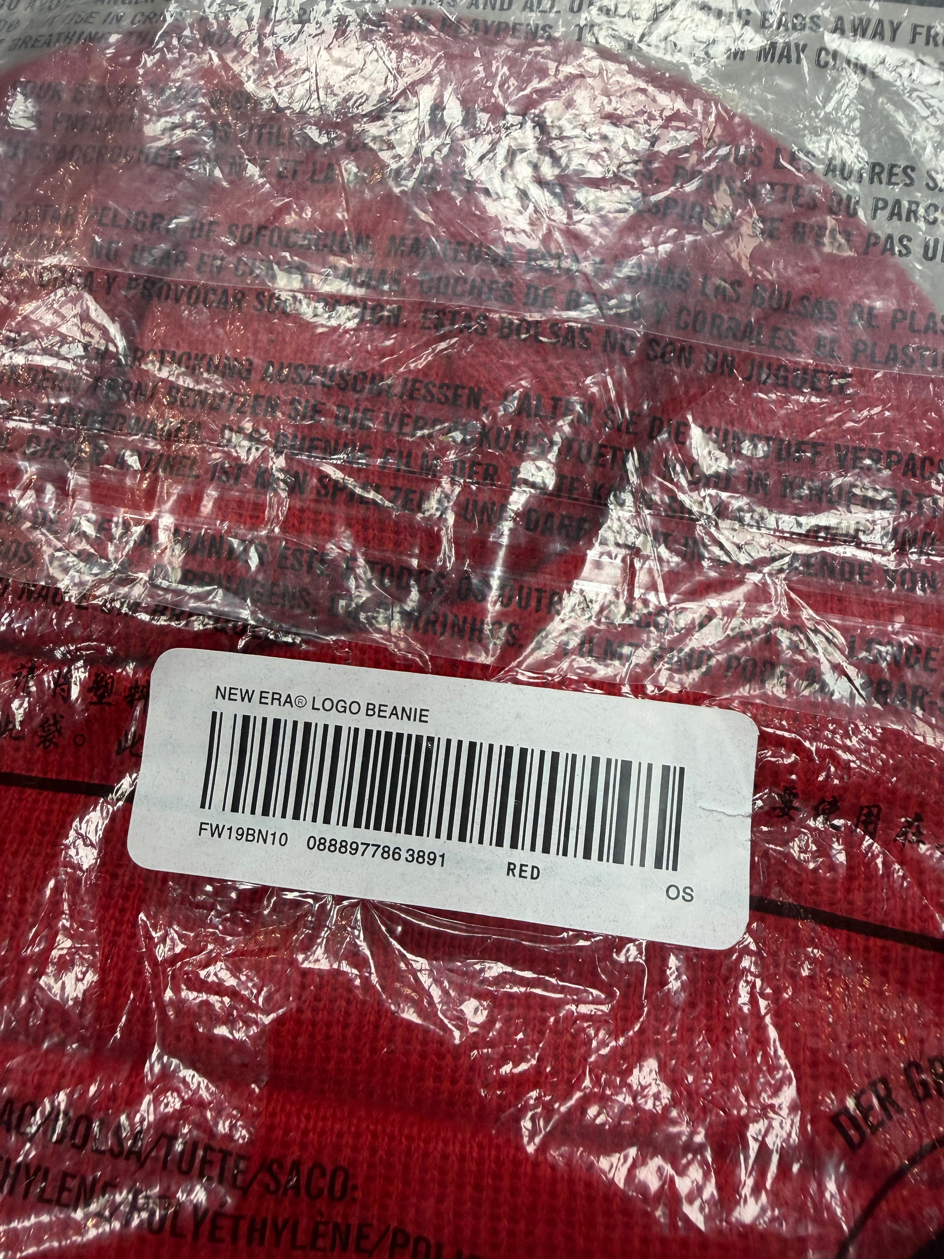 SUPREME FW19 BOX LOGO PAISLEY BEANIE