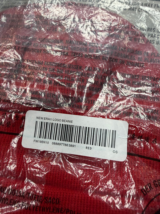 SUPREME FW19 BOX LOGO PAISLEY BEANIE